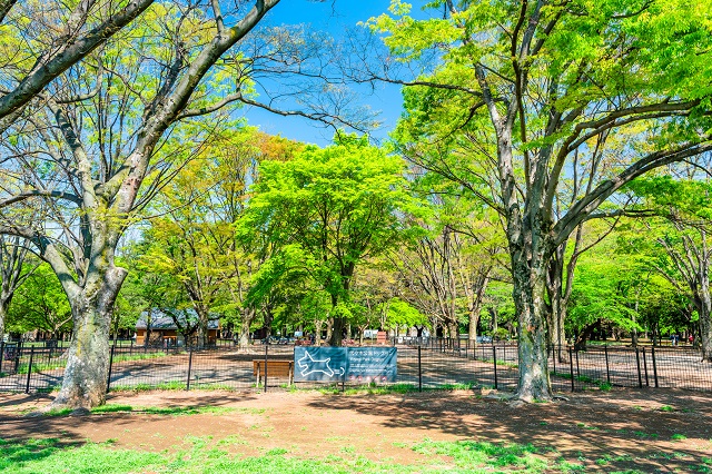 「代々木公園」内の緑豊かな広場にあるドッグラン。写真内にも犬の看板が見えます