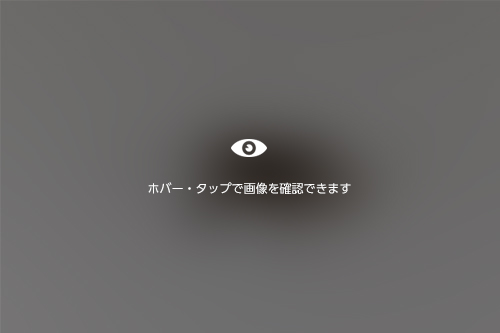 アンダンソンハエトリの様子。飛び跳ねる小さなクモです