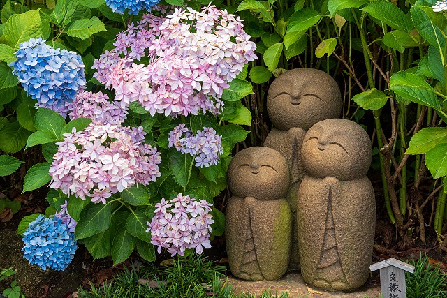 長谷寺の別名は「花の寺」。季節ごとの花との風情ある景色が楽しめます。