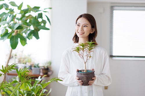 観葉植物には、良い運気のみを家に呼び込む力があるとされています