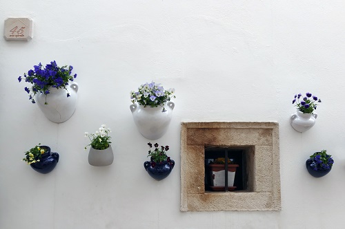 壁から突き出るデザインなど壁面ならではの鉢植えを使うのもおすすめです