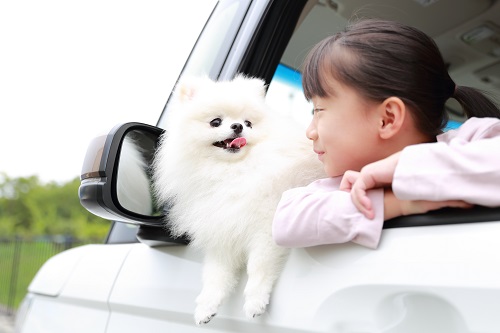 落ち着いたらおこなう手続きもいくつかあります