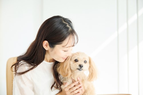 犬を上手にしつけるには?