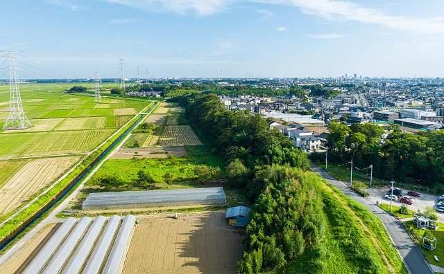 地目とは?種類や調べ方を解説