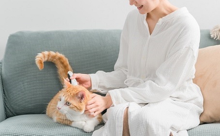 猫の抜け毛対策は？抜け毛の主な理由や有効な掃除方法もご紹介