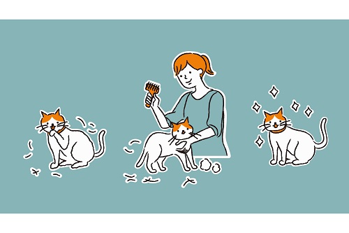 猫の抜け毛対策を3つご紹介