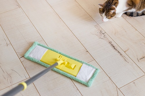 猫の抜け毛に有効な掃除のコツもおさえておきましょう