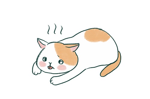 猫も熱中症にかかる?こんな症状がでたら要注意!