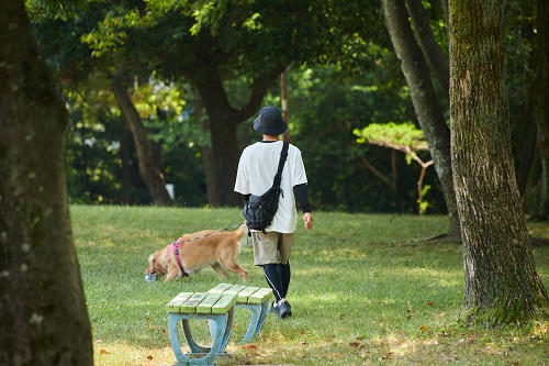 温暖化の影響もあり最高気温が35度以上を超える猛暑日もあるため注意が必要です
