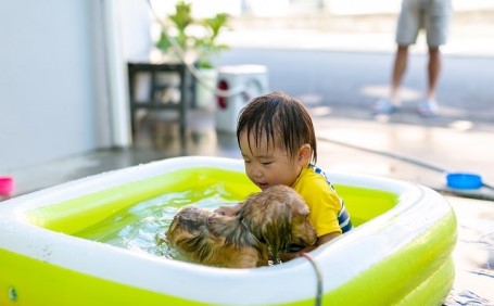 【専門家に聞く】犬の暑さ対策！室内・室外の過ごし方や熱中症の症状や対処法を解説