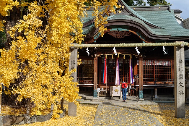 大阪市城東区にある「白山神社」。「大阪城」にゆかりのある地です