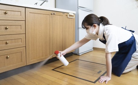 梅雨に増える害虫は？家に寄せ付けないための対策を解説