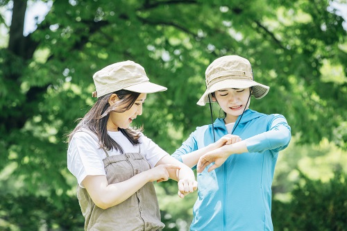 毛虫に刺された時の症状は?