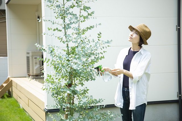 庭に発生した毛虫はどのように駆除すればよいのか解説します