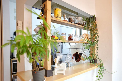 かんたさん・あんなさんの「DIY×植物で作った二人のオリジナル空間」