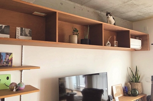 マンションリノベーション事例「猫好き建築家と一緒につくり上げた回遊動線のある快適空間」