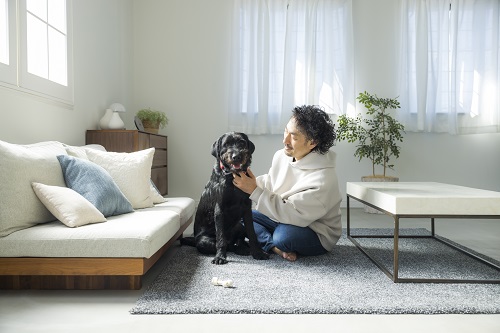 犬を飼うのに注文住宅がおすすめの理由とは？