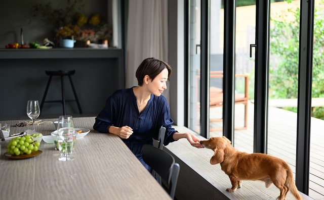 犬と快適に過ごせる家づくりのアイデアをご紹介