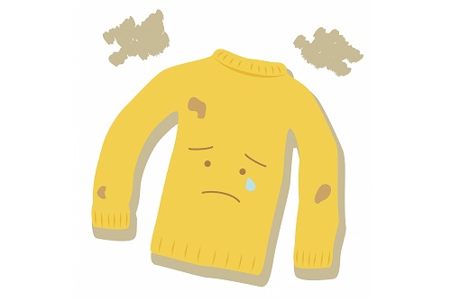虫食いに遭いやすい服には特徴があります