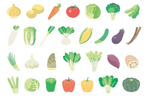 野菜の保存方法を種類別に解説します