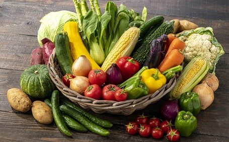 野菜の保存方法とは？鮮度をキープし長持ちさせる秘訣を解説