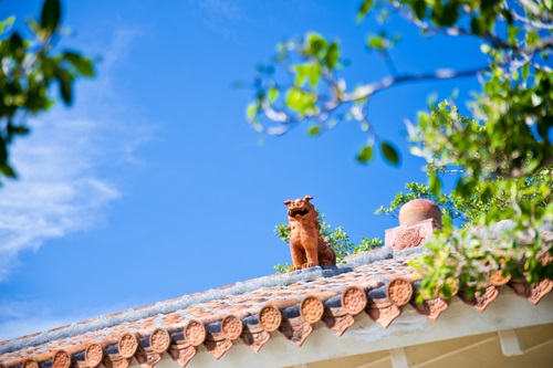 家を建てる際には、沖縄の特徴的な風土も考慮しましょう