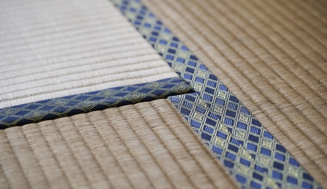 チャタテムシとは?発生原因と駆除方法・対策を徹底解説