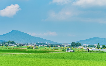 田舎の土地売却を成功させる完全ガイド｜高く・早く売るための具体的な方法と流れ
