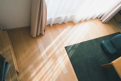 日当たりのいい部屋なら寒さを感じにくいでしょう