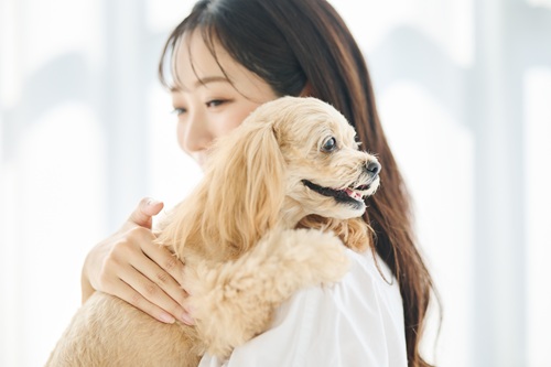 犬が寒い時に出すサインとは？