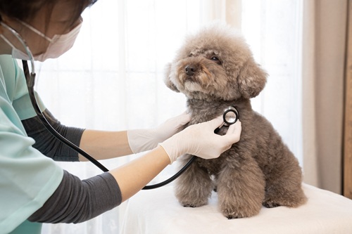 寒さが原因で発症する病気とは？