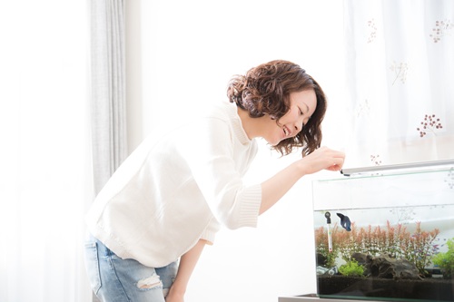 大学生の一人暮らしでもペットを飼うことはできるのでしょうか?