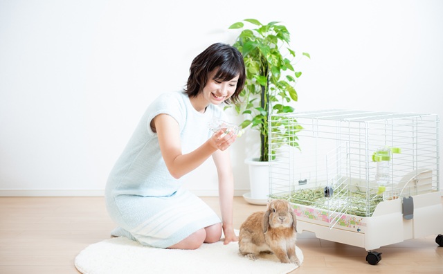 大学生の一人暮らしでもペットは飼える？可能な10種類と飼う際の注意点