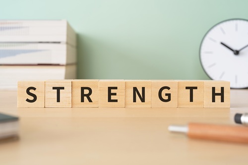 レジリエンス住宅にはどのような強みがあるのでしょうか