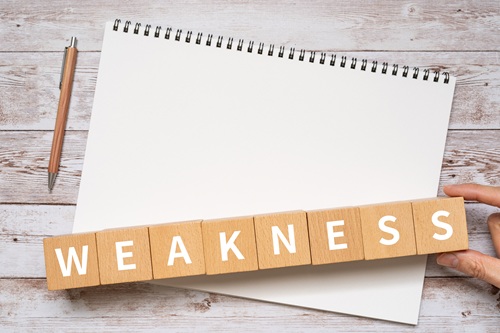 レジリエンス住宅の弱点は何でしょうか