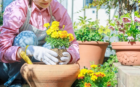 狭い庭でもおしゃれなガーデニングを始めよう！初心者におすすめの花・植物を徹底解説