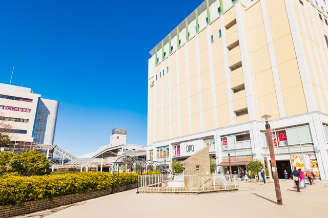 新百合ヶ丘駅周辺には「日本映画大学」や「昭和音楽大学」もあり文化・芸術の街としても有名