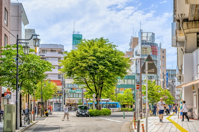 武蔵新城は、住宅街が広がっている落ち着きある雰囲気を持ちますが、武蔵小杉や溝の口が近く、生活利便性が高い街です。