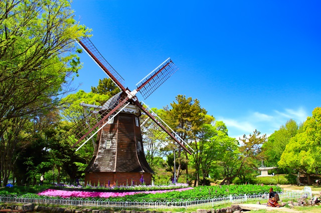 「名城公園」は名古屋城を中心とした約80.41ヘクタールもある公園で、桜の名所としても有名。1年を通して さまざまな季節の花を楽しむことができます