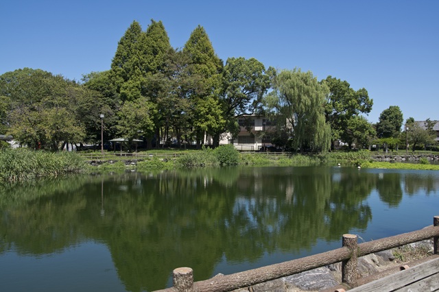 「浅井山公園」の面積の半分近くを占める大きな池があります