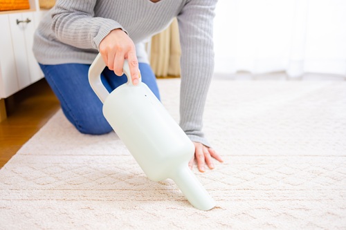 一人暮らしのお部屋にラグを敷くデメリットも把握しておきましょう