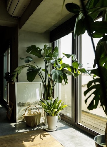 リノベーションマンション事例「多彩な木材×左官仕上げ。テクスチャーを楽しむ住まい」