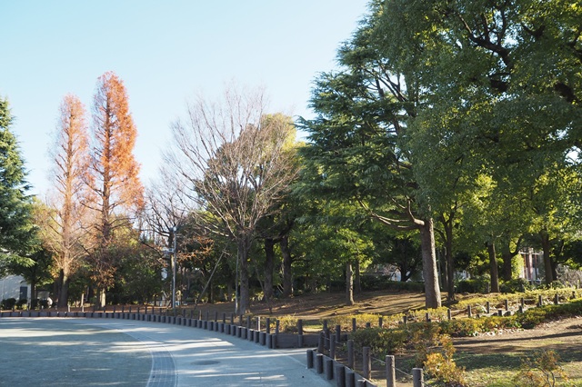 「旧教育大学（現 筑波大学）」跡地に1986年に開園した「教育の森公園」。都心にありながら豊かな緑を感じることができるエリアです
