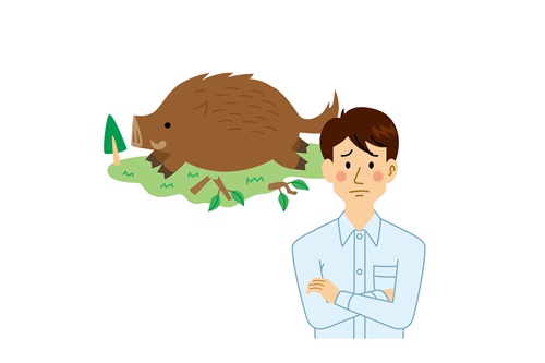 イノシシに攻撃されそうになったらどうすべきでしょうか