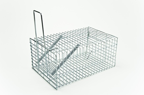 カラスを捕えることはできるのでしょうか