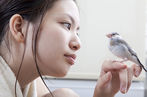 一人暮らしでも飼いやすいペットの条件は？