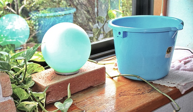 雨漏りの原因は？場所別の見つけ方と放置したらどうなるかを徹底解説