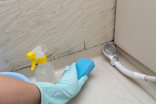 家の売却で掃除が必要になる場所を紹介します