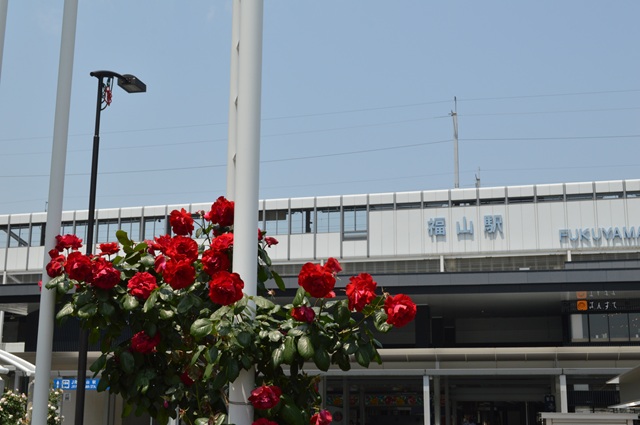 新幹線も停車するので、県外へのお出かけにも便利です
