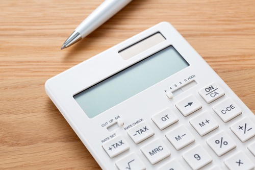 カナヘビを飼うのにはいくらかかるのか解説します